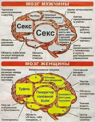 Муж: я помыл посуду. Жена: и что? МУЖ: / прикол о хуемразях / смешные  картинки и другие приколы: комиксы, гиф анимация, видео, лучший  интеллектуальный юмор.