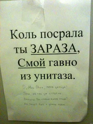 Шалость наклейки текст мне если вам нужна какая-либо вещь наклейка для  туалета наклейка смешные наклейки Йога Студия Огни Наклейки для школьников  | AliExpress