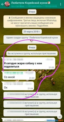 Новые фишки WhatsApp: разбираемся, для чего нужны и как работают | РБК Life