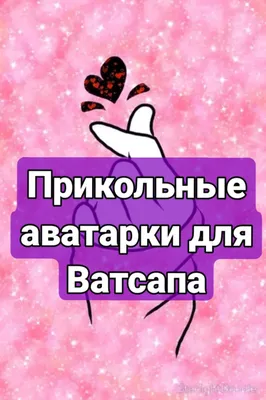 Гродно Плюс» выпустил стикеры ко Дню города - Гродно Плюс. Новости Гродно и  области | Телевидение Гродно.