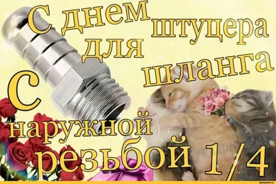 Кружка Дари! "Ты ж моя жопка. Котики обнимаются. Прикол в подарок любимому  и любимой", 330 мл - купить по доступным ценам в интернет-магазине OZON  (694807443)