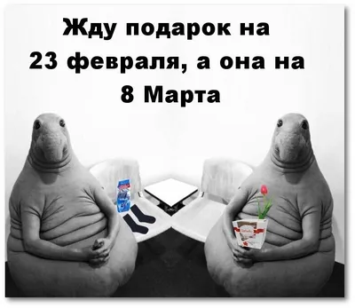 Жду подарок на 23 февраля, а она на 8 Марта #сарказм #подарок #8марта # 23февраля #приколы | Надписи, Картинки, Карикатура