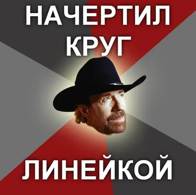 Чак Норрис, не, не слышал На счету Л. М. Павличенко было 309 уничтоженных  германских солдат и офицер / чак норрис (чакэ) :: павличенко. фашисты ::  демотиваторы :: личное / картинки, гифки, прикольные комиксы, интересные  статьи по теме.