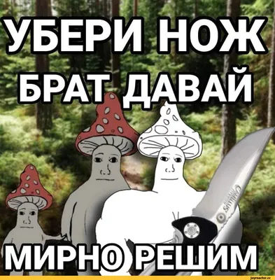 Анекдоты про грибников ч. 5 (Спецвыпуск с анекдотами от читателей). | Олег  Королёв. Рыбалка. Грибы. | Дзен