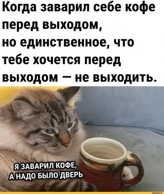 Кофе В Постель☕ | Кофейные иллюстрации, Иллюстратор, Детские картины