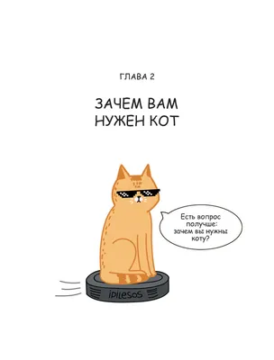 Самые смешные и экстравагантные уличные коты Петербурга | ОБЩЕСТВО | АиФ  Санкт-Петербург