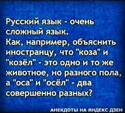 Прикольные картинки про мужа и жену (50 фото) • Прикольные картинки и  позитив