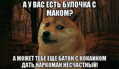 Анекдоты про наркоманов | АНЕКДОТЫ ДО СЛЁЗ БРО ツ | Дзен