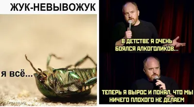 Это сплошной скверный анекдот", – Глеб Пьяных опроверг миф о мощи  коллективного Путина - | Диалог.UA