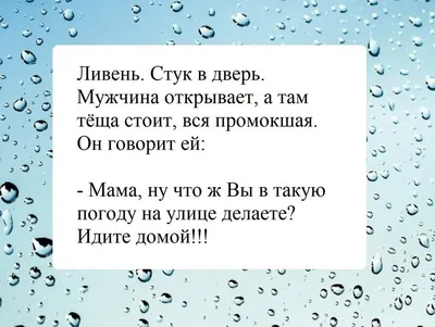 Анекдоты про погоду | 8 ЯБЛОК | Дзен