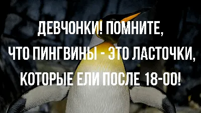 Диета «Обратная сушка»: поможет, когда талия заметно вышла из берегов.  Питание для крупных и малоактивных женщин. | Диета, Трехдневная диета,  Здоровье