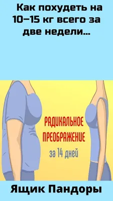 Кружка Oasis "К чёрту диету - довольный Опоссум, прикол", 320 мл - купить  по доступным ценам в интернет-магазине OZON (966346166)