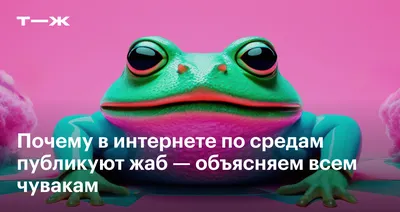 Прикольная открытка опять среда | Смешные животные, Открытки, Приколы про  животных