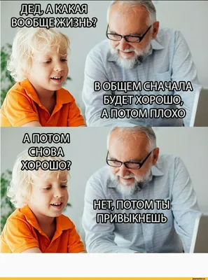 Анекдоты И Смешные Картинки в Instagram: «#отравление #бабушка #грибочки  #больница #доктор #старость #правдажизни #шутка #юмор #анекдот» | Смешно,  Шутки, Юмор
