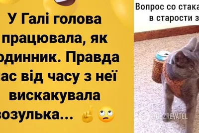 10+ шуток про старость, от которых всплакнет каждый достигший 18+