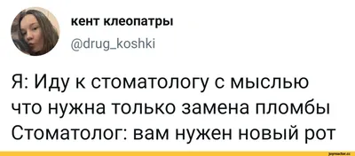 Анекдоты про стоматологов - смешные шутки и приколы про зубы и дантистов -  Телеграф