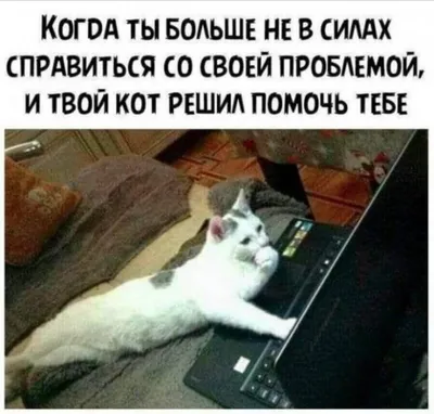 Забавные мемы на Субботу