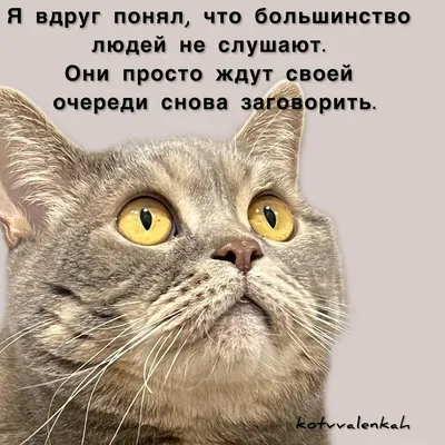 Суббота прикольные женские картинки (38 фото) » Юмор, позитив и много  смешных картинок