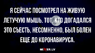 Прикольные картинки с надписями и планы на вечер | Mixnews