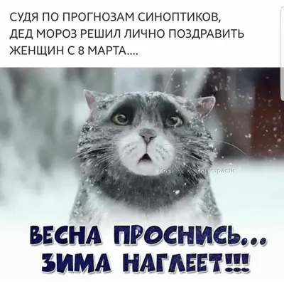 Russian Memes United on X: "Tell me, Ksyusha, whether I'm a bad mother? I'm  Vicka /PF1Y4b4ci1" / X