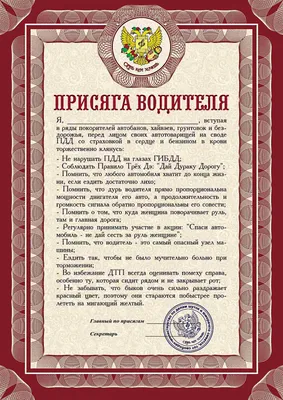 Работа профессионального водителя (2 картинки) »  - Эксклюзивные  НОВИНКИ и РЕЛИЗЫ