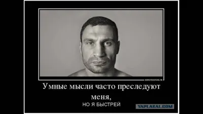 Идеи на тему «Приколы о Кличко , Псаки и Ко)» (50) | смех, смешные  высказывания, политика юмор