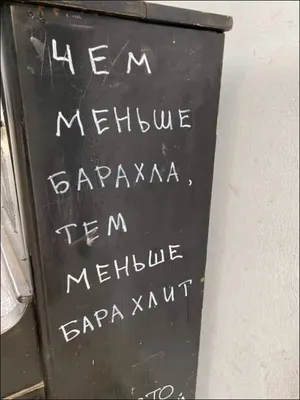 Шар с гелием с НАДПИСЬЮ /(ПРИКОЛЫ "Хвалебные" и "Оскорбительные") в ассорт.  – купить по цене 240 руб. | АртБукет