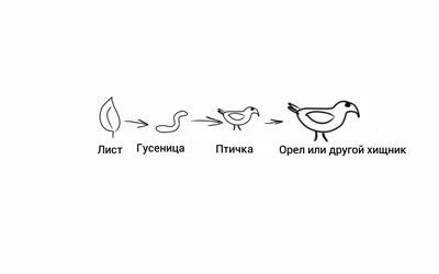 Картинки невидимые нити окружающий мир (68 фото) » Картинки и статусы про  окружающий мир вокруг