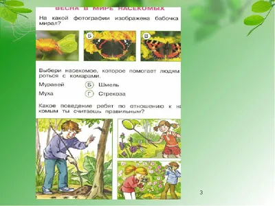 Невидимые нити в весеннем лесу. Окружающий мир, 2 класс - online  presentation