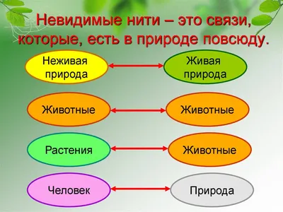 Невидимые нити в весеннем лесу. Окружающий мир, 2 класс - online  presentation