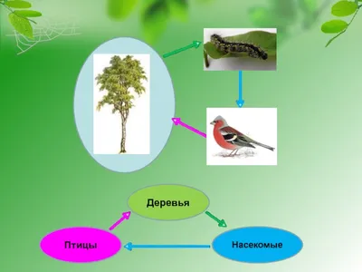 Невидимые нити рисунок (47 фото) » Рисунки для срисовки и не только