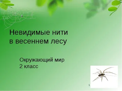 Окр мир невидимые нити: Презентация «Невидимые нити» — окружающий мир,  презентации — Школа №96 г. Екатеринбурга