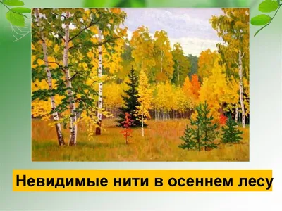 Тропинки в загадочный мир [с иллюстрациями] [В Т Якушкин] (fb2) читать  онлайн | КулЛиб электронная библиотека