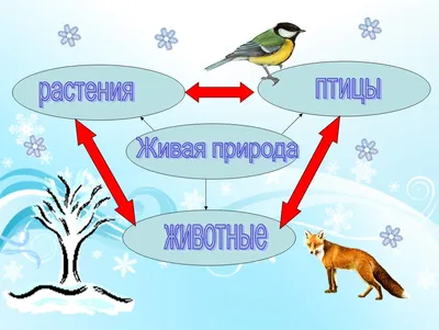 Земля в цвету [Вадим Андреевич Сафонов] (fb2) читать онлайн | КулЛиб  электронная библиотека