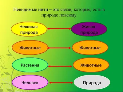 Очерки, рассказы, статьи, дневники, письма [Виталий Валентинович Бианки]  (fb2) читать онлайн | КулЛиб электронная библиотека