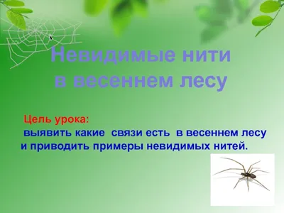 Окр мир невидимые нити: Презентация «Невидимые нити» — окружающий мир,  презентации — Школа №96 г. Екатеринбурга