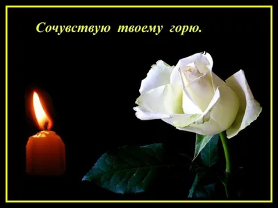 Выражаю искренние соболезнования в связи с трагедией в Керчи… | Иванов Олег  Вячеславович — официальный сайт