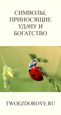 Магические символы удачи: 7 древних знаков для привлечения денег и счастья  – Новости Салехарда и ЯНАО – Вести. Ямал. Актуальные новости Ямала