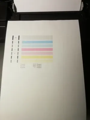 The printer prints black sheets // strange noises in the printer //  crackling in the printer - YouTube