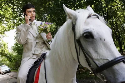 Прикольные демотиваторы и принц на белом коне | Mixnews