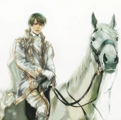Иллюстрация принц на белом коне в стиле классика | 