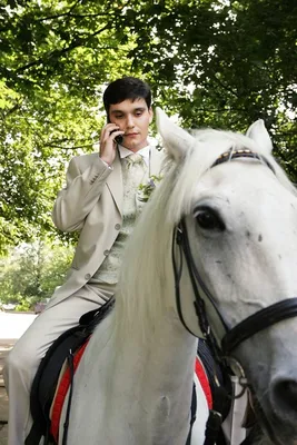 Путешествие принца на белом коне по стране продолжается