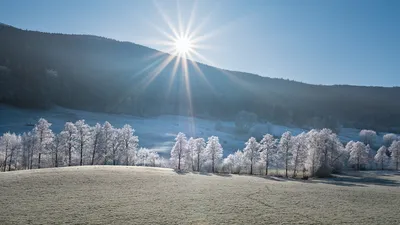 Фотография Германия Rheinland-Pfalz Лето Природа Утро Поля 1366x768