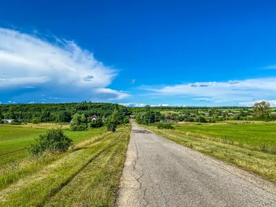 Вот моя деревня... Деревня в лесу…» — создано в Шедевруме