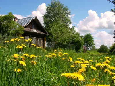 Картина на холсте сельский пейзаж деревня природа (10) 20х30 см - купить по  низкой цене в интернет-магазине OZON (1165642402)