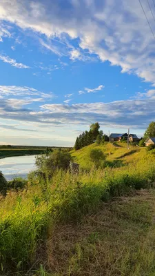 Природа, деревня, яблоневые сады.» — создано в Шедевруме