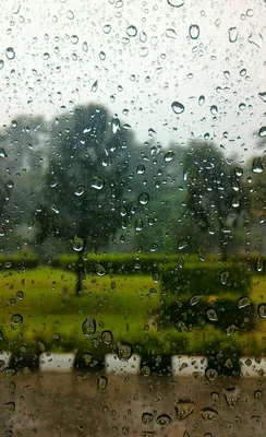 Природа дождь картинки