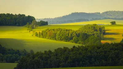 Природа Full HD, HDTV, 1080p 16:9 обои на рабочий стол, картинки 1920x1080  и фотографии скачать бесплатно | Akspic