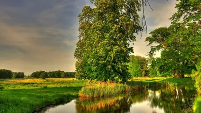 Brown Wooden House on Body of Water - KDE Store