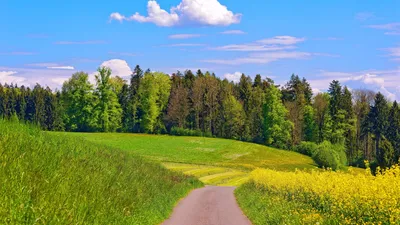 Mountain Hill Cloud Ecoregion People in Nature Full HD - 